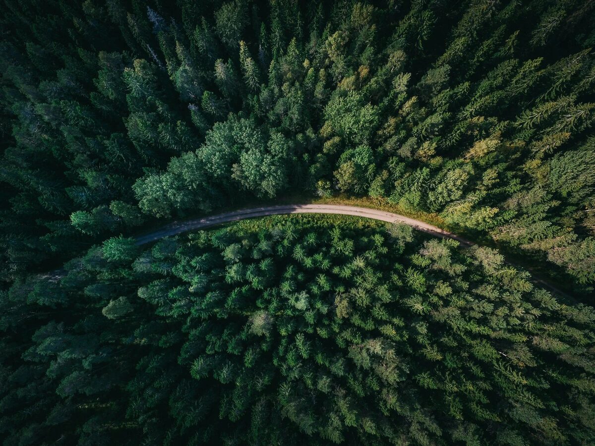 A calm natural landscape